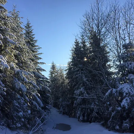 Penzion Pikuy Belasovitsa