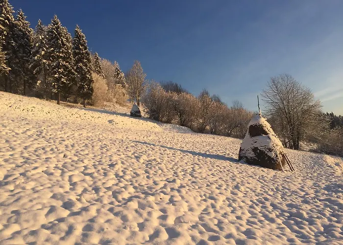 Pikuy Belasovitsa