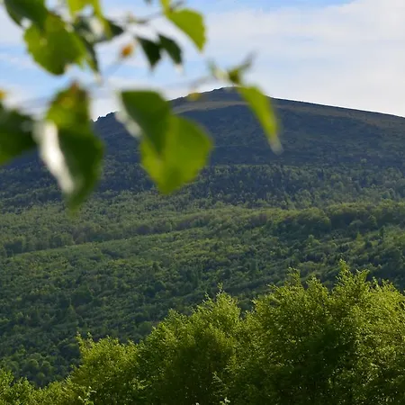 Pikuy Penzion